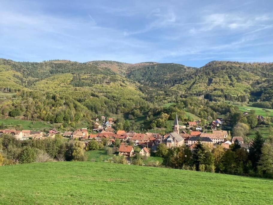 Logement Chaleureux, Vallee De Ville Steige Exterior photo